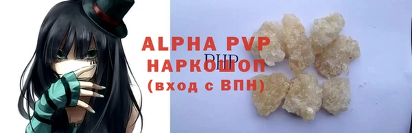 стафф Козельск