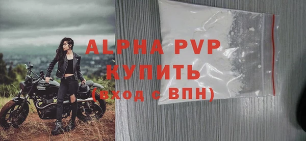 стафф Козельск