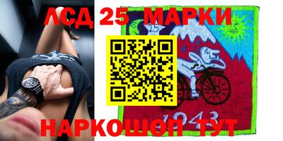 Альфа ПВП Моздок