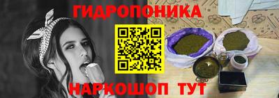 Альфа ПВП Моздок