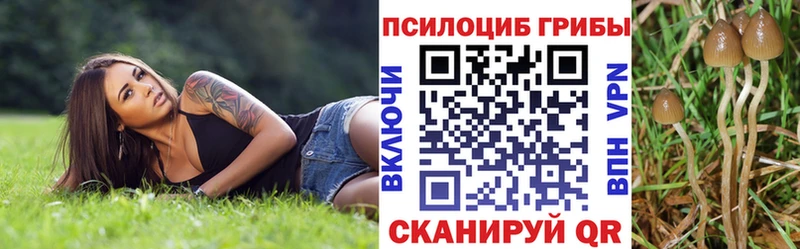 Псилоцибиновые грибы Cubensis  сайты даркнета клад  Осинники 