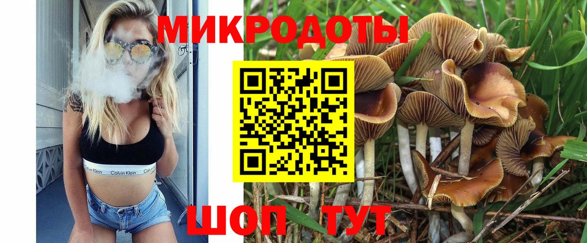 Галлюциногенные грибы GOLDEN TEACHER  купить   Осинники  Вход с VPN 
